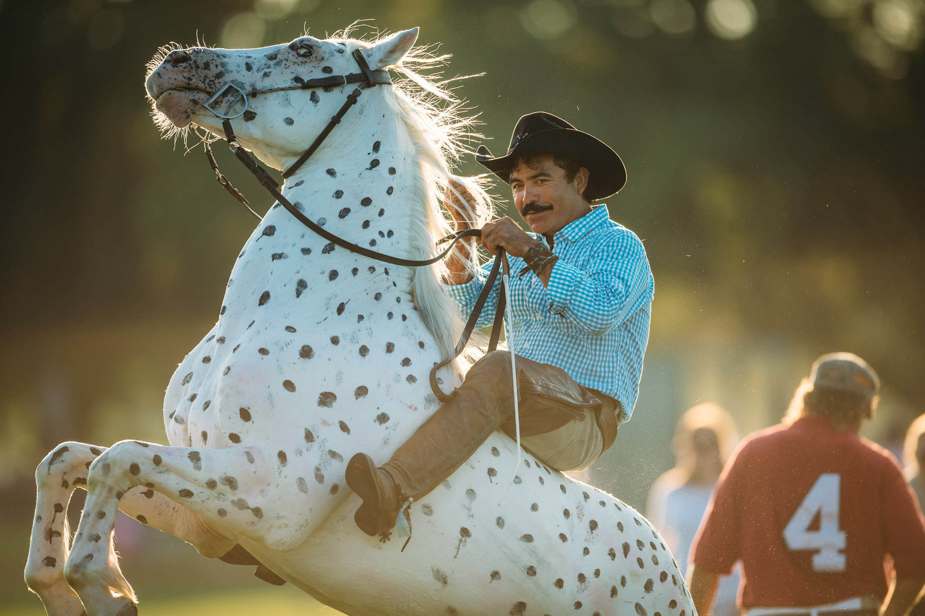 7-12-14_Newport_Polo_361