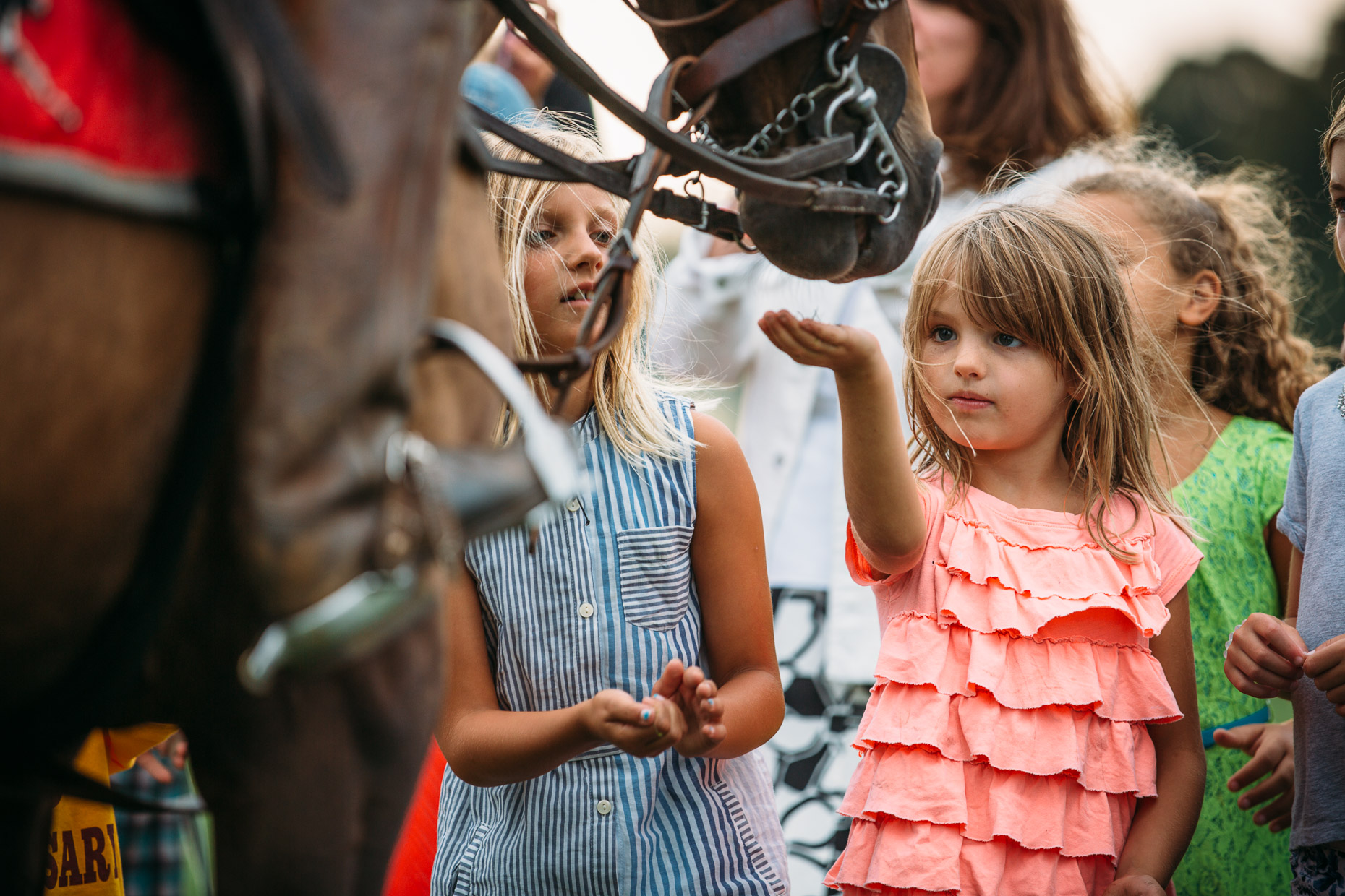8-16-14_Newport_Polo_3843.JPG