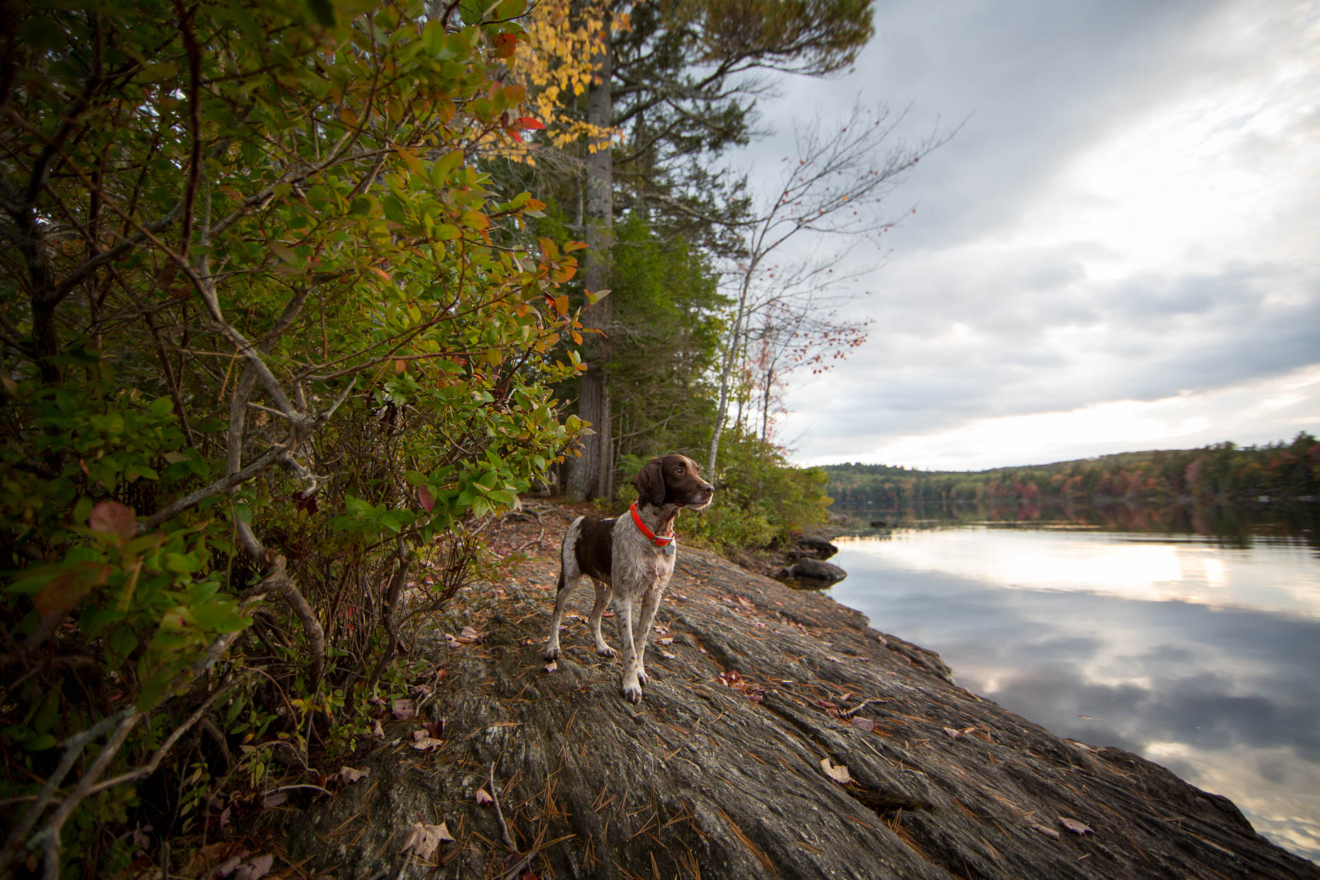 Maine_Hunting_0069