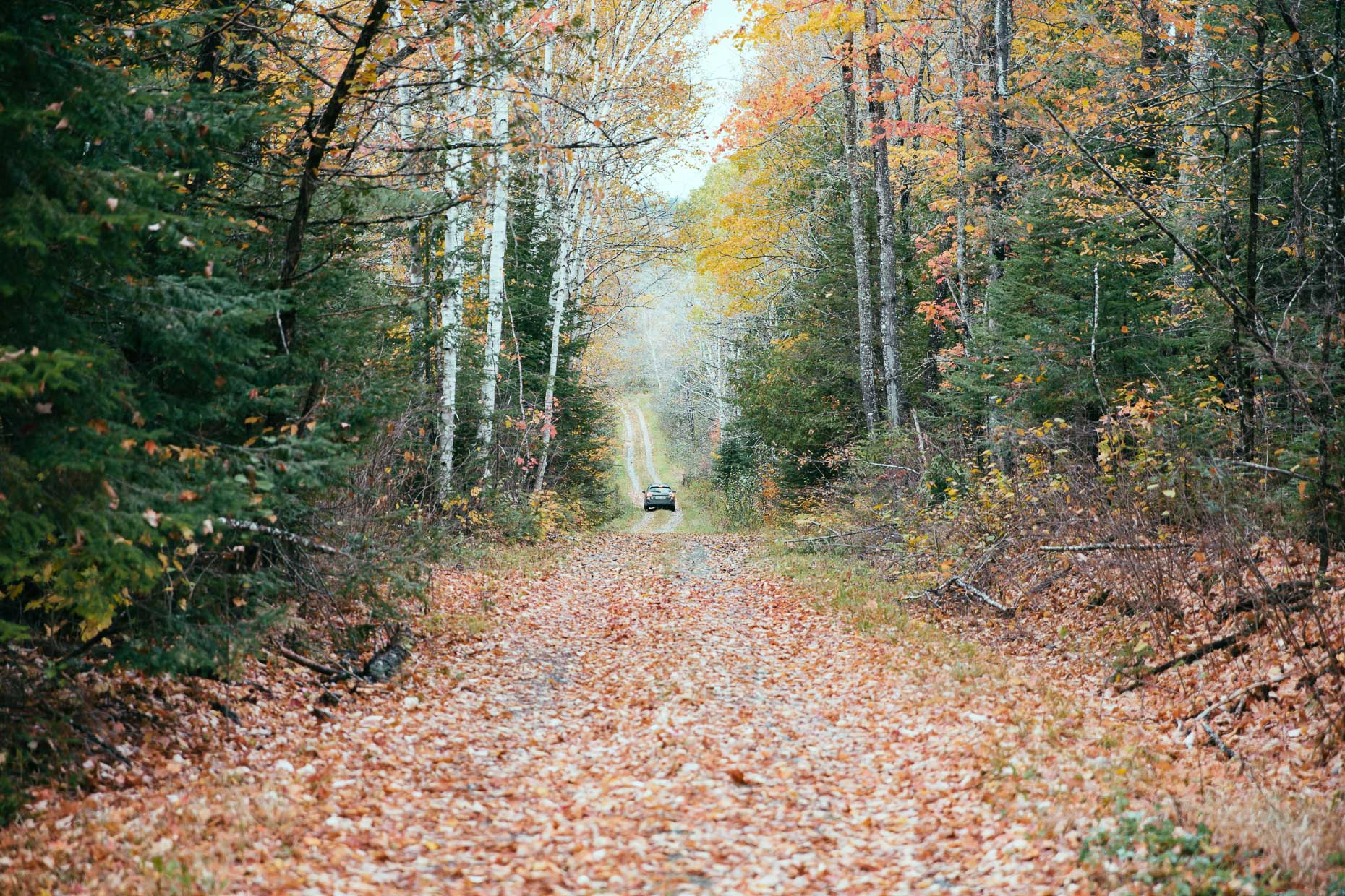 Maine_Hunting_0249